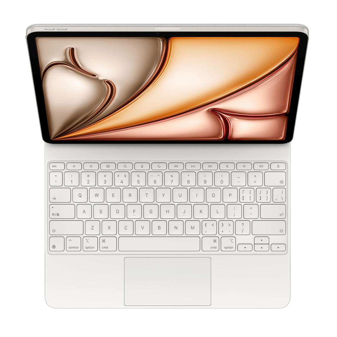 Magic Keyboard(iPad Air용)